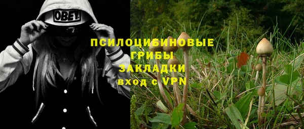 прущие грибы Алексин