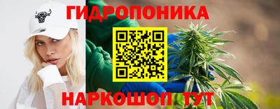 соль ск Аргун