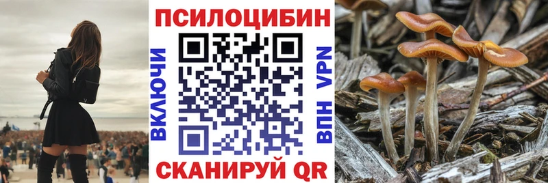 закладка  Аша  Псилоцибиновые грибы MAGIC MUSHROOMS 
