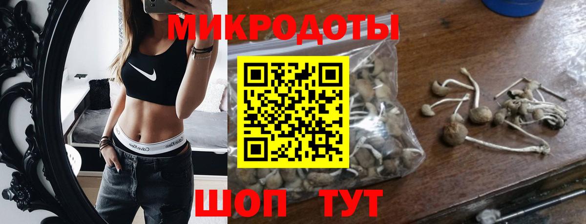 Псилоцибиновые грибы мухоморы  Аша  Галлюциногенные грибы Magic Shrooms 